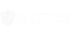 ShieldX Logo